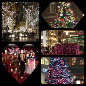 写真 (1)